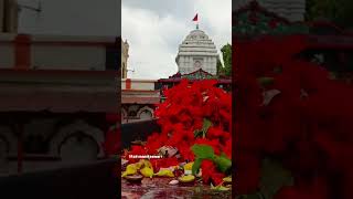 kalahandi estadevi jai maa manikeswari temple bhawanipatna [upl. by Anuahsat]