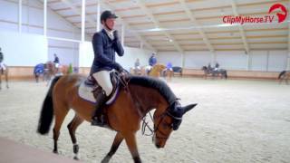 Frank Laenen  Interview  Equestrian Centre De Peelbergen  2016 [upl. by Llertnac]