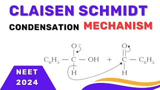 Claisen Schmidt Condensation Mechanism  claisenschmidt condensation  NEET 2024 [upl. by Fraze]