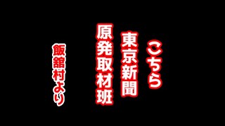 野生の食用キノコ セシウム 汚染は今 2024年秋 飯舘村 [upl. by Aliban]