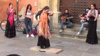 Flamenco dance 5 in Granada 2015 [upl. by Ttcos978]