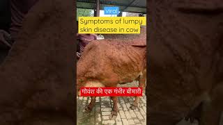 Lumpy skin disease l dr umar khan [upl. by Sokin]