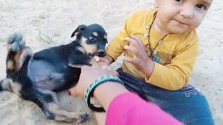 Cte baby and Pappy 🐕🧸 आज तो मोज करदे acting cuteanimal funny vlogs cute baby [upl. by Tnafni]