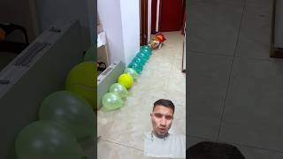 Dog🐶🐕 Popping Coloured Balloons dog balloon funnyshorts asmr asmrsounds asmrvideo popping [upl. by Winthorpe]