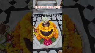 Yogeshwaraya Mahadevaya 🚩🙏🔱🕉🔱🙏🚩 shiv bhajan shortvideo [upl. by Kemp]