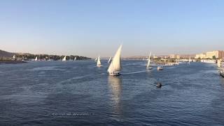 Feluccas on the Nile [upl. by Zetana]