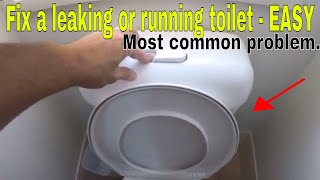 How to fix a leaking running toilet  most common problem [upl. by Bonner]