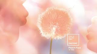 PANTONE 131023 Peach Fuzz the Pantone Color of the Year 2024 [upl. by Arundell903]