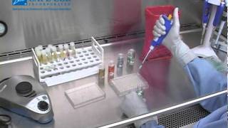 Fungitell® Assay Kit Training Video part 2 [upl. by Mareld]