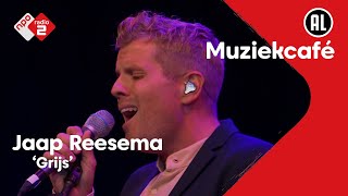 Jaap Reesema  Grijs  NPO Radio 2 [upl. by Alorac]