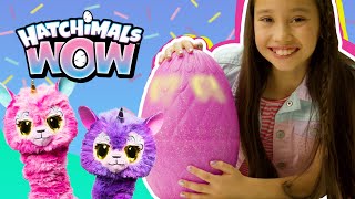 Hatchimals WOW – Unboxing amp How To [upl. by Granny924]