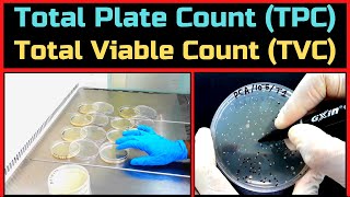 Total Plate Count Total Aerobic Bacterial CountA Complete Procedure BAM Ch3 [upl. by Janos]