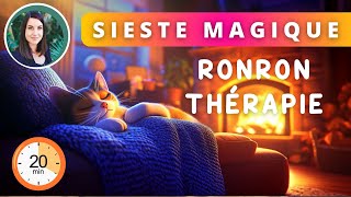 Ronronthérapie  Rechargez vos batteries avec cette SIESTE MAGIQUE [upl. by Rokach]