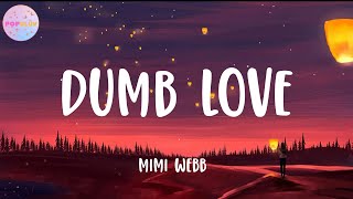 Mimi Webb  Dumb Love Lyrics [upl. by Ahseei967]