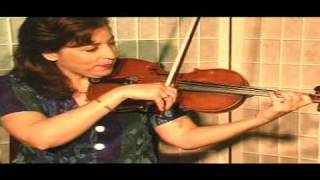 Violin Lesson  Theory  The D Flat Major Scale [upl. by Nyrad]