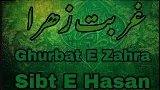 Gurbat E Zahra  غربت زھرا Sibt E Hasan  New Ayyam E Fatimiyya Noha 20241446 [upl. by Yobybab]