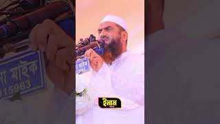 Allama Mamunul Haq shorts shortvideo short shortsvideo shortsfeed [upl. by Wooldridge]