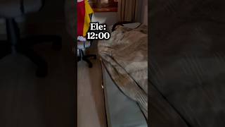 Tem alguém que dorme mais que a cama 😂 shorts youtubeshorts [upl. by Regen280]