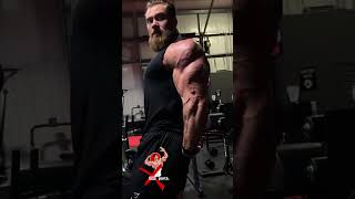 GYM muscleman sparta fitnessdaddy mentalhealth spartaphoto spartaphoto2023spartavevo [upl. by Parthenia]