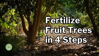 Mastering Fruit Tree Fertilization in a Food Forest or Home Garden [upl. by Ashly]