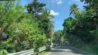 Mundakkayam to Pambanar Road Trip [upl. by Yuk]