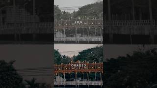 LOG VS GRADED colourgrading filmmaking cinematography [upl. by Adaynek]