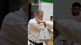 Heian Sandan kata bunkai Dormenko Sensei karate martialarts [upl. by Nickles988]