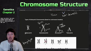 Chromosome Structure and Organization  Genetics Ep 2 [upl. by Aititil]