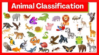 Animal Name with picture in English Animal Types  Animal Groups  Animal Classification for Kids [upl. by Mindi]