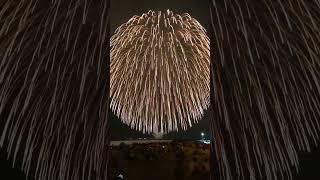 36quotinch3feet Giant Japan display shell Nishiki kamuro Niagara fall wvariegated pistilfireworks [upl. by Goar]