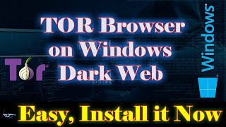 How to Download amp Install Tor Browser in windows [upl. by Bandeen]