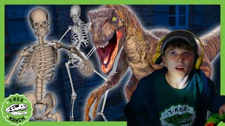 Giant Dinos amp Skeleton Escape Haunted House  TRex Ranch Dinosaur Videos [upl. by Wetzell]