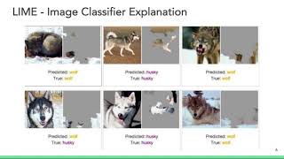 Explainable AI Session 4 Intro to LIME [upl. by Tai]