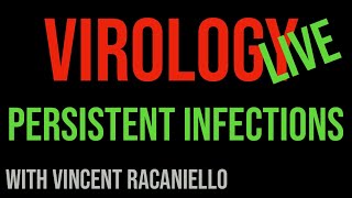 Virology Live 17 Persistent Infections [upl. by Thorner]