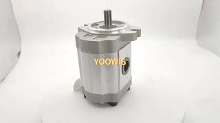 Hydraulic Gear Pump 2550625 2550625 CA2550625 for Caterpillar [upl. by Enyawal]