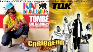 Kaf Malbar  Danse avec moi Remix feat TOK   Caribbean Dream Riddim Audio [upl. by Iclek]