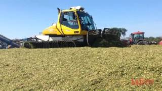 Une surfaceuse pour lensilage [upl. by Adnana387]