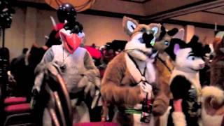 Furry Fiesta 2012 [upl. by Ahsak552]