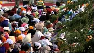 Devotees wait in queue for turn to offer prayer at Golden Temple Amritsar [upl. by Lechner]