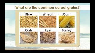 Introduction to Farinaceous Products [upl. by Case]