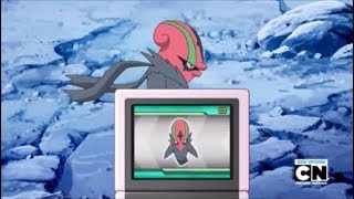 Accelgor Pokédex Entry [upl. by Mycah]