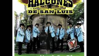 Los Halcones De San Luis  Gracias A Dios [upl. by Yggep4]