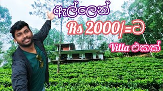 ඇල්ලෙන් 2000ට breakfast එක්ක villa එකක්  Cottage in ella srilankanhotelreview travelsrilanka [upl. by Falcone]