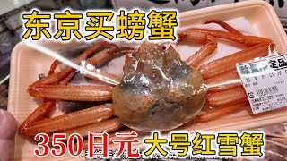 【一起买菜吧】居然只要350日元！在东京也能买到便宜的红雪蟹！ [upl. by Bigler]