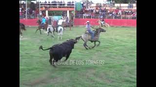 TREMENDA JUGADA DEL VENENO DE SAN MANUEL EN LA MEJORADA DE TICUL 2017 [upl. by Akciret]