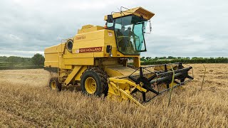 Winter Barley Harvest  New Holland Clayson 8055 [upl. by Flodur]