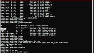 Solaris 11 Boot Environment [upl. by Kono]