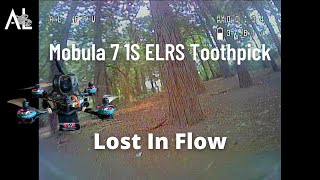 Lost In Flow  Mobula 7 1S ELRS Toothpick  FPV TreeStyle [upl. by Eillib]