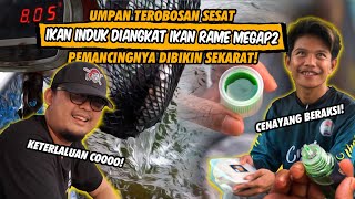 MANCING BANYAK COBAAN UMPANNYA DILUAR NALAR DAIDO VENDETTA DIPAKSA UNTUK MELAWAN 😱😱 [upl. by Anaizit26]