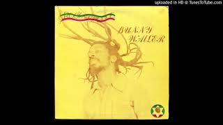 Bunny Wailer  02 Another Dance [upl. by Kadner]